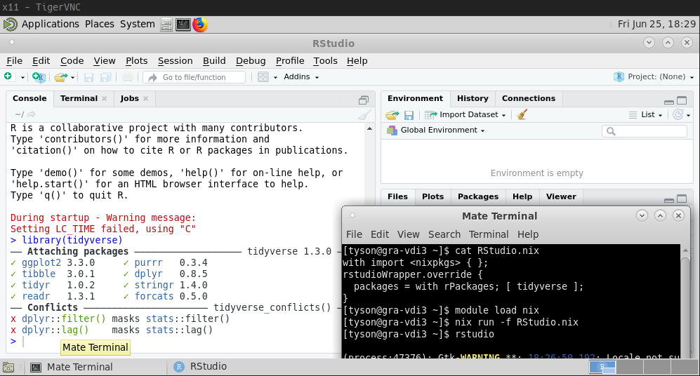 Running RStudio on gra-vdi.computecanada.ca.